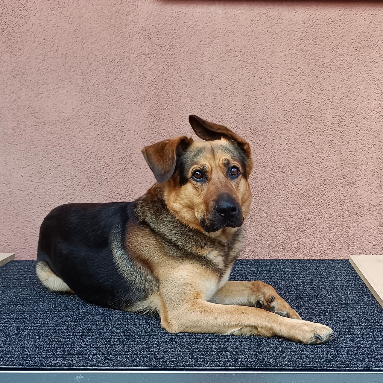 Soutěžní fotografie - Max,  Ostatní