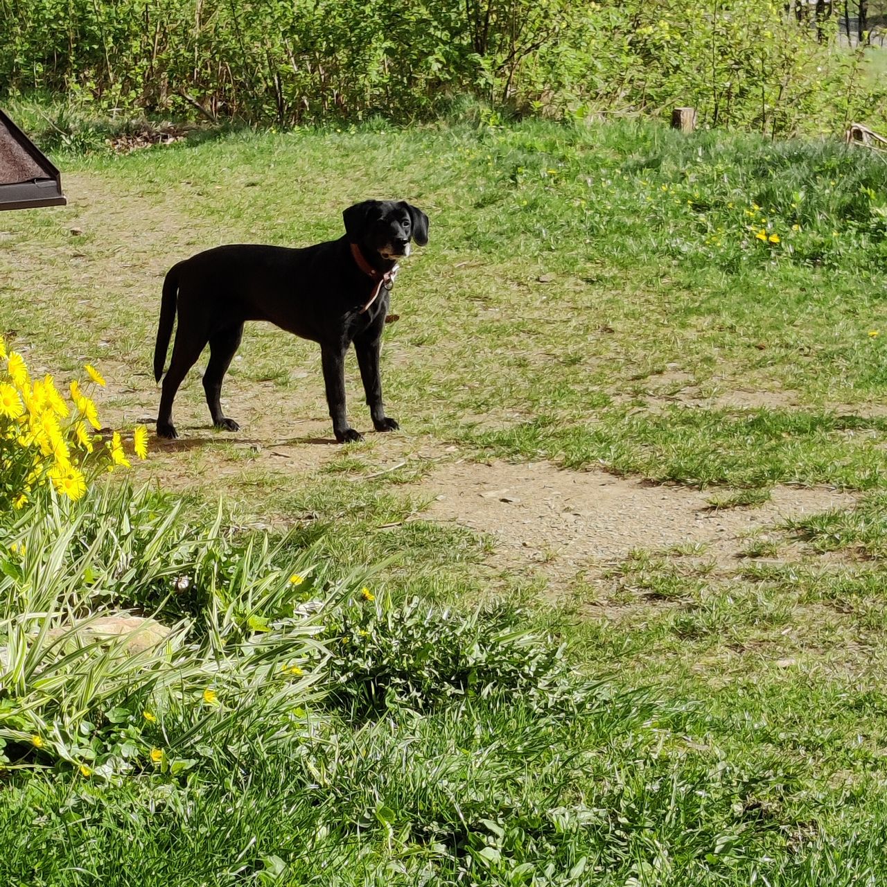 Soutěžní fotografie - Buffy,  Ostatní