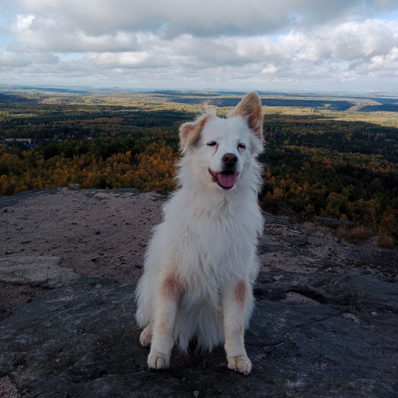 Soutěžní fotografie - Lucky,  Ostatní