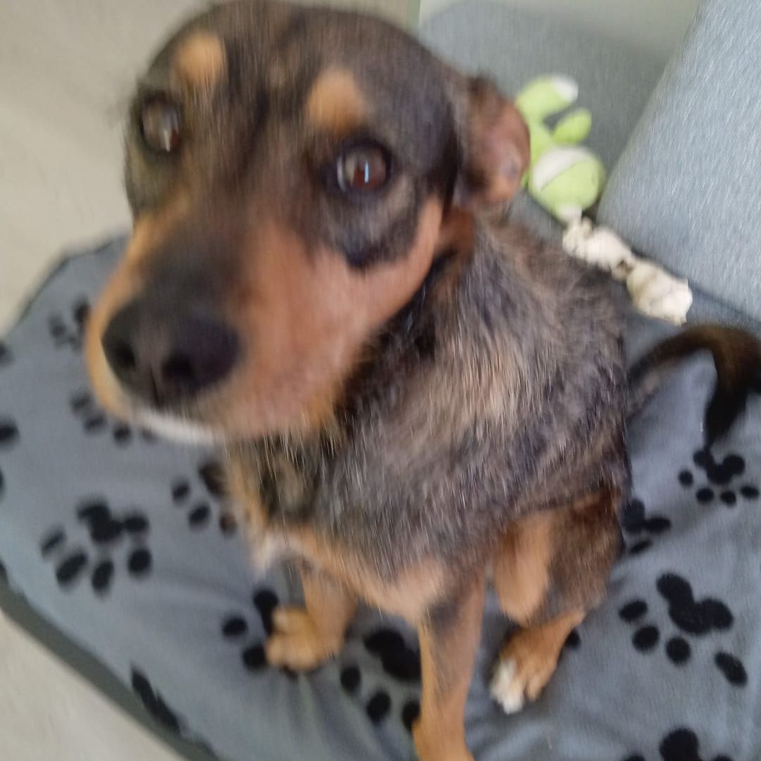 Soutěžní fotografie - Teddy,  Ostatní
