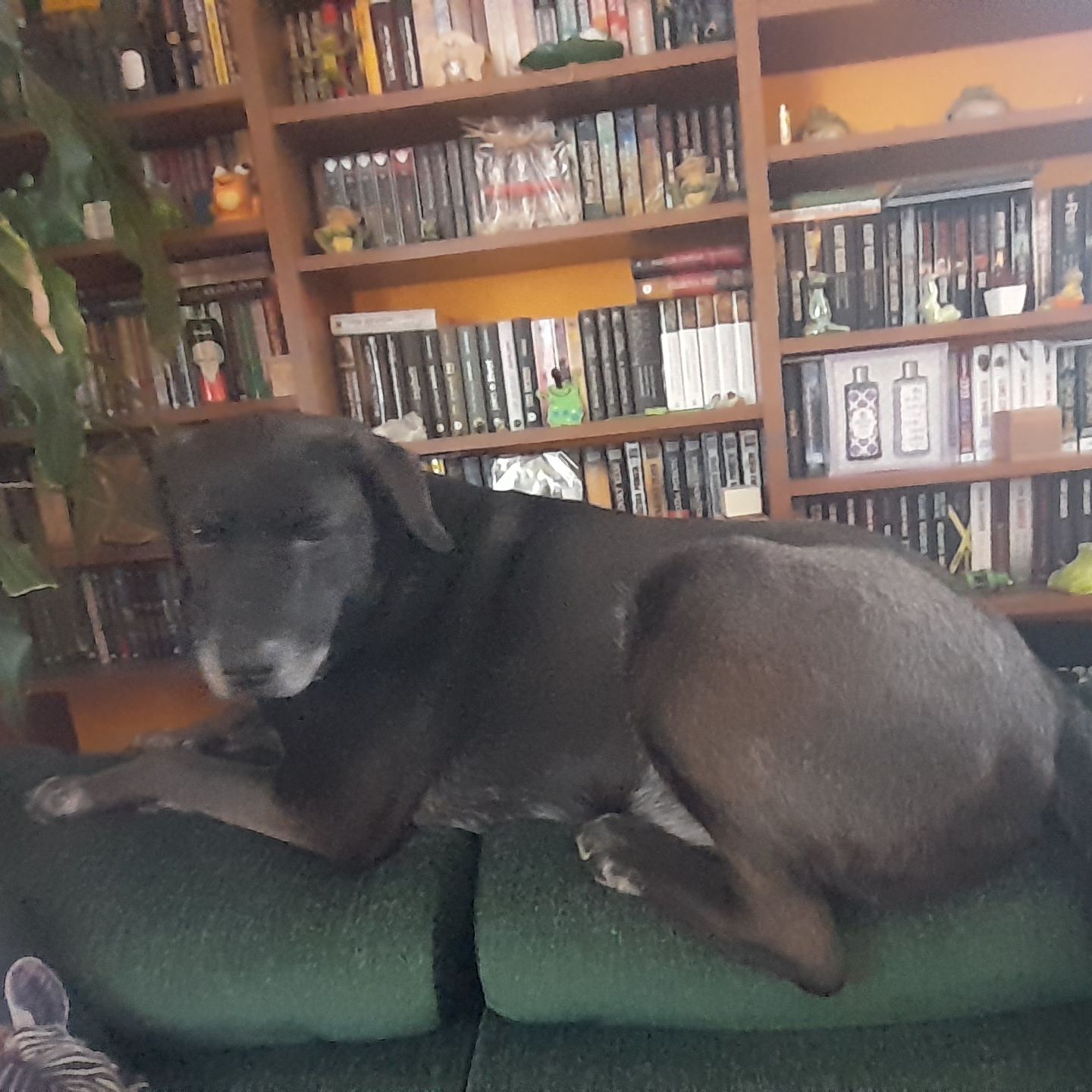 Soutěžní fotografie - Kuba,  Ostatní