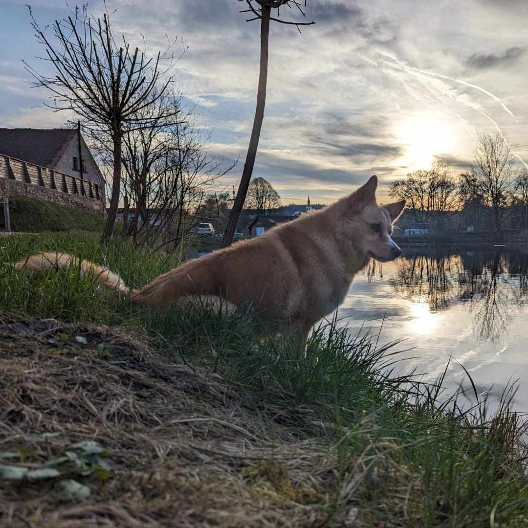 Soutěžní fotografie - Dášenka,  Ostatní