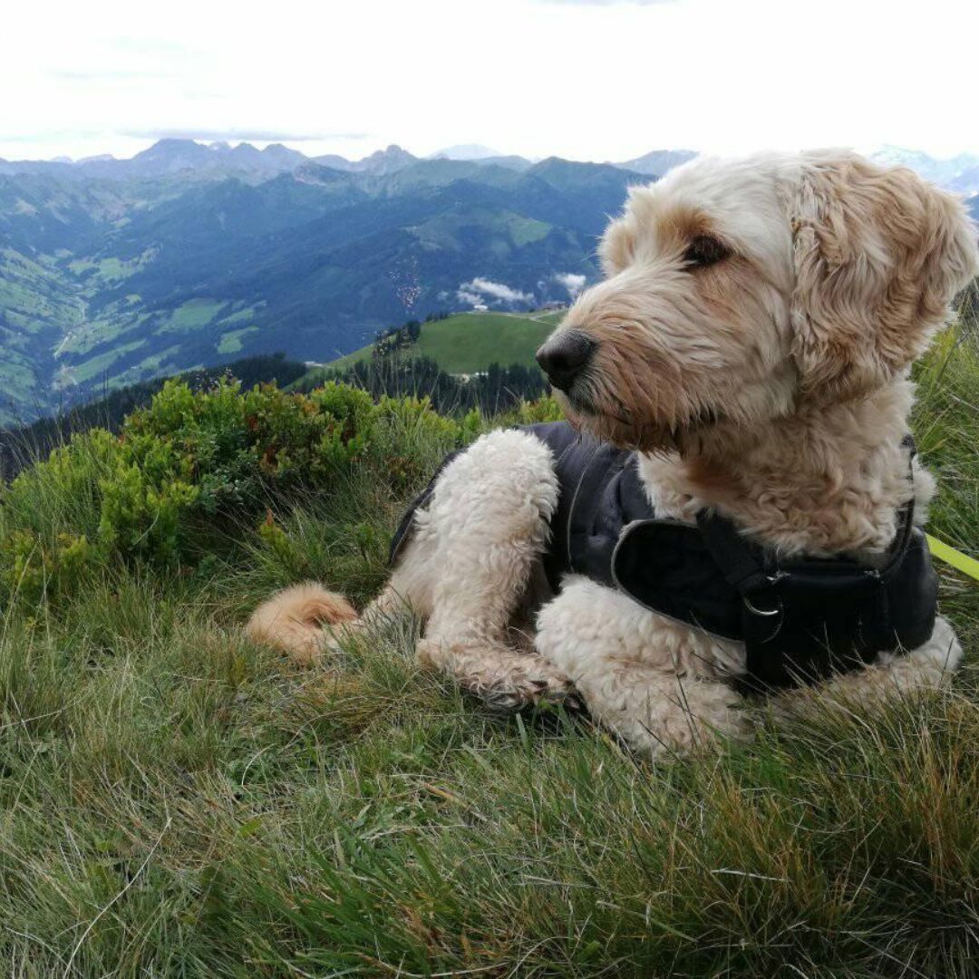 Soutěžní fotografie - Charlie,  Ostatní