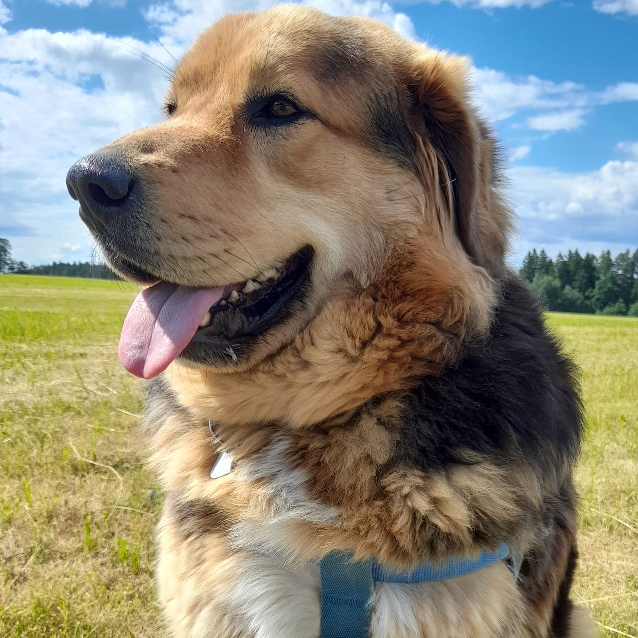 Soutěžní fotografie - Max,  Ostatní