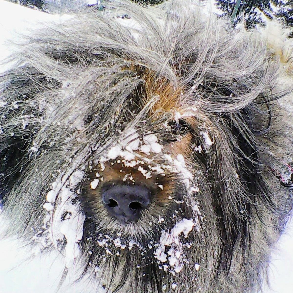 Soutěžní fotografie - Samiček,  Ostatní