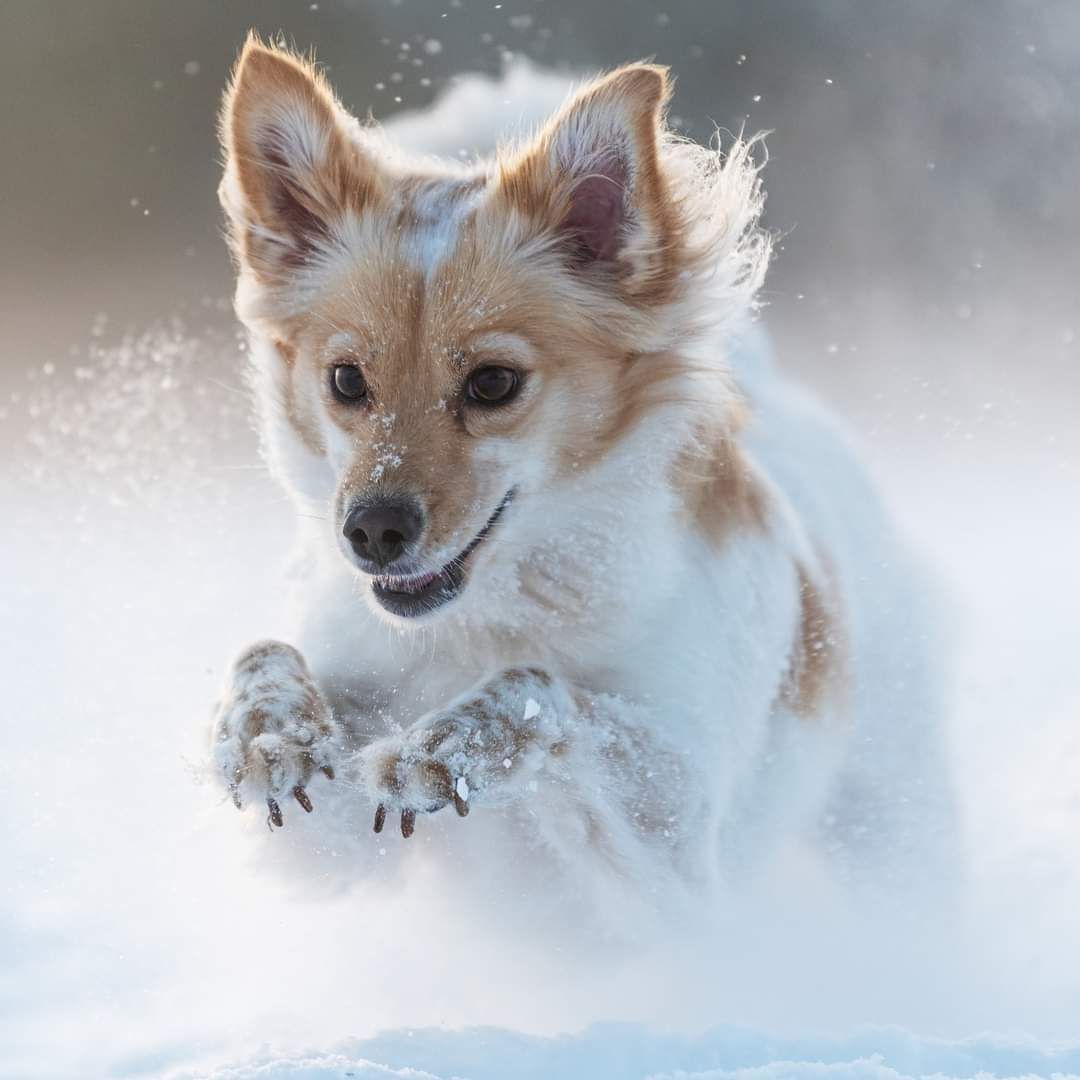 Soutěžní fotografie - Betty ,  Ostatní