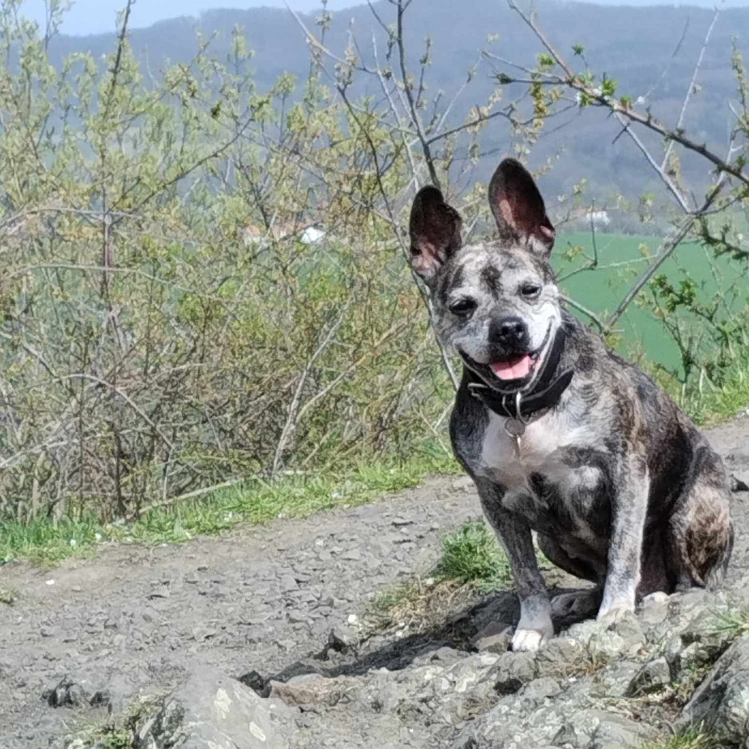 Soutěžní fotografie - Bára,  Ostatní