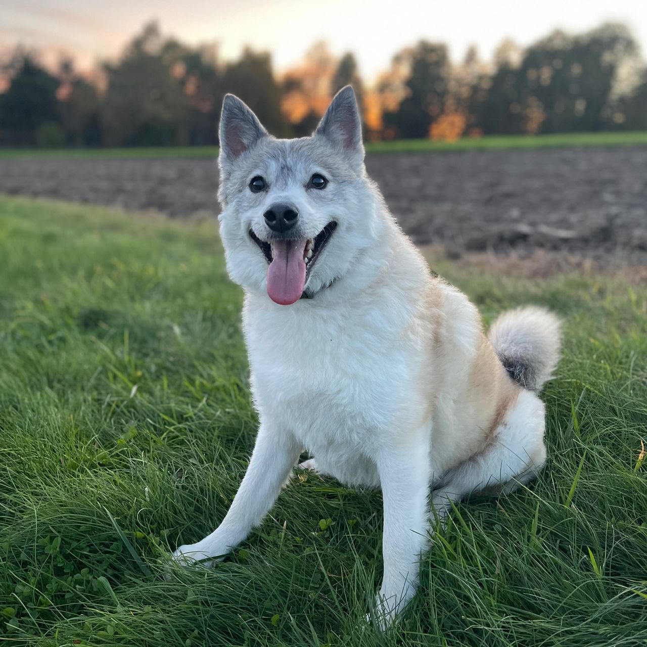 Soutěžní fotografie - MAX,  Ostatní