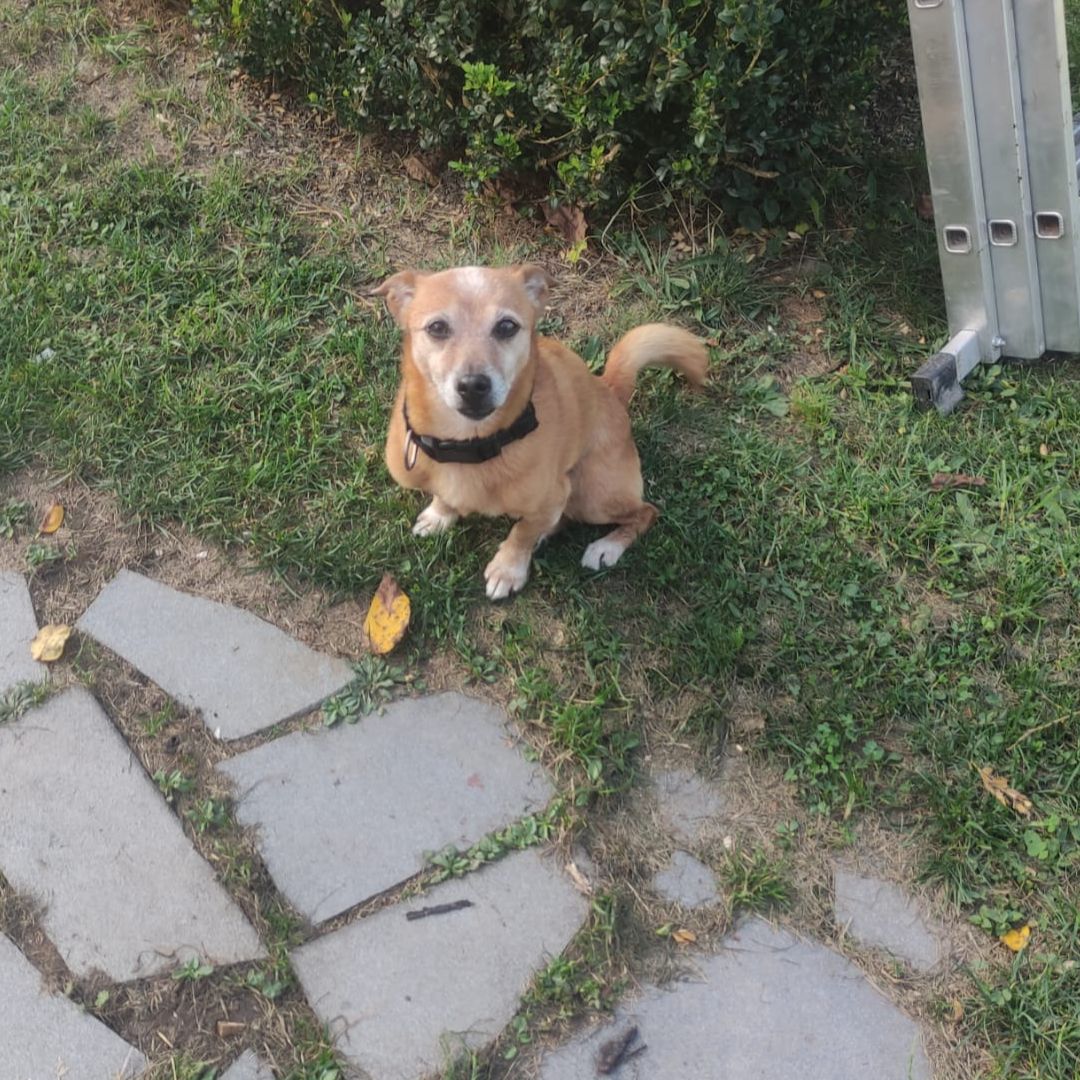 Soutěžní fotografie - Čenda ,  Ostatní