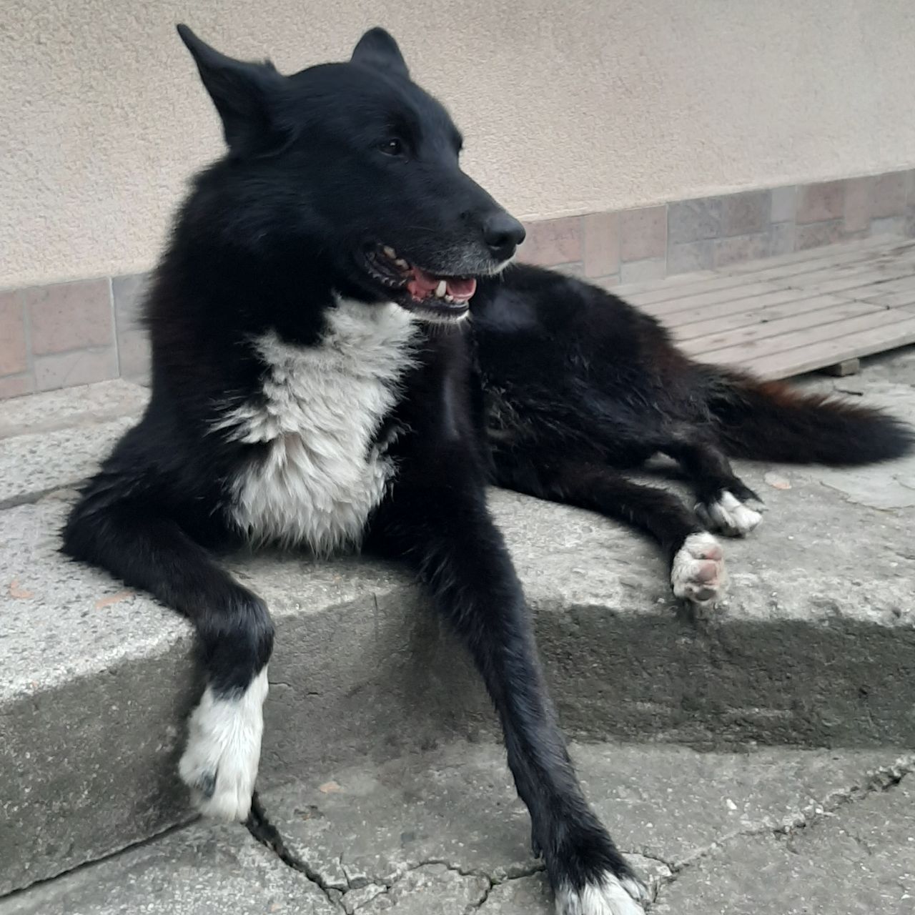 Soutěžní fotografie - Coudy,  Ostatní
