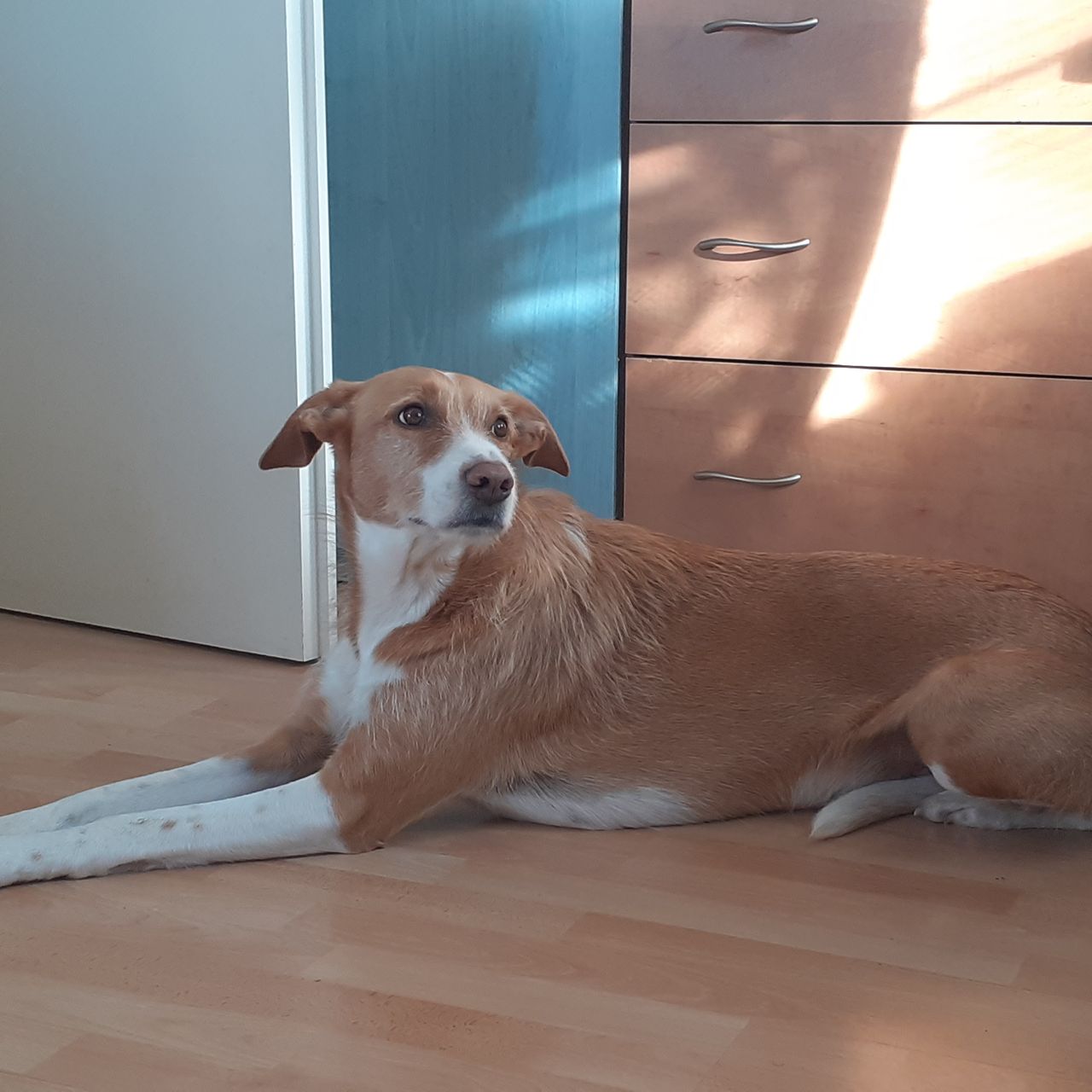 Soutěžní fotografie - Lovka,  Ostatní