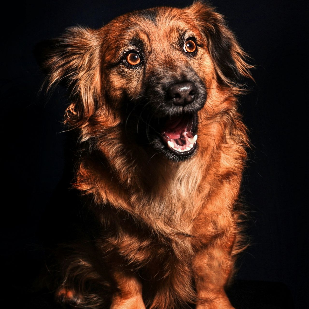 Soutěžní fotografie - Mina ,  Ostatní