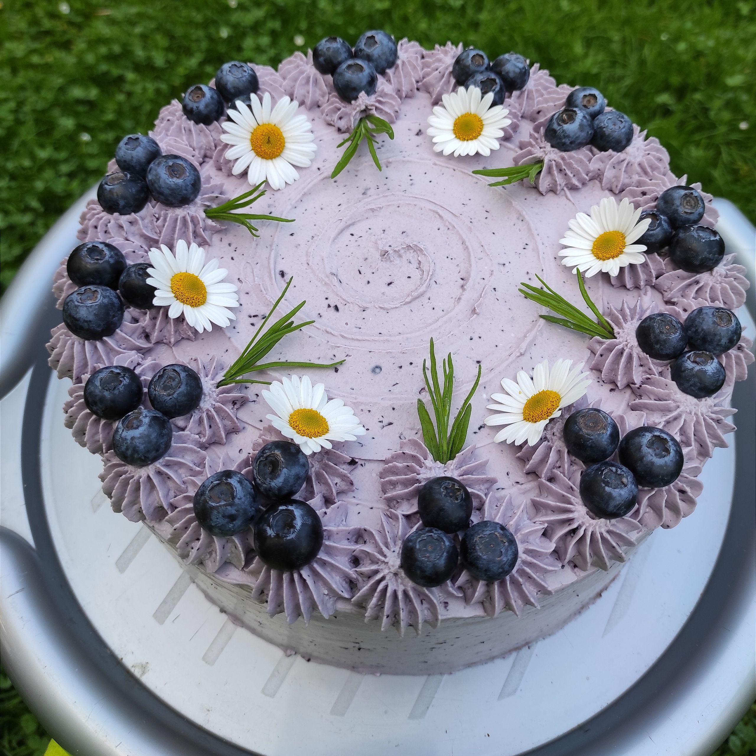 Soutěžní fotografie - Borůvkový dort se šlehačkou a mascarpone,  Středočeský kraj