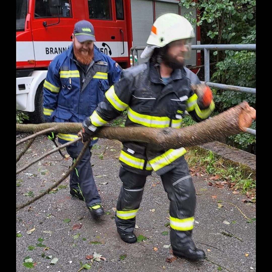 Soutěžní fotografie - Mraveneček v lese,  Olomoucký kraj
