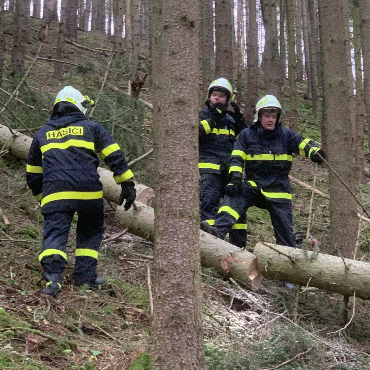 Soutěžní fotografie - Občas je to oříšek,  Plzeňský kraj