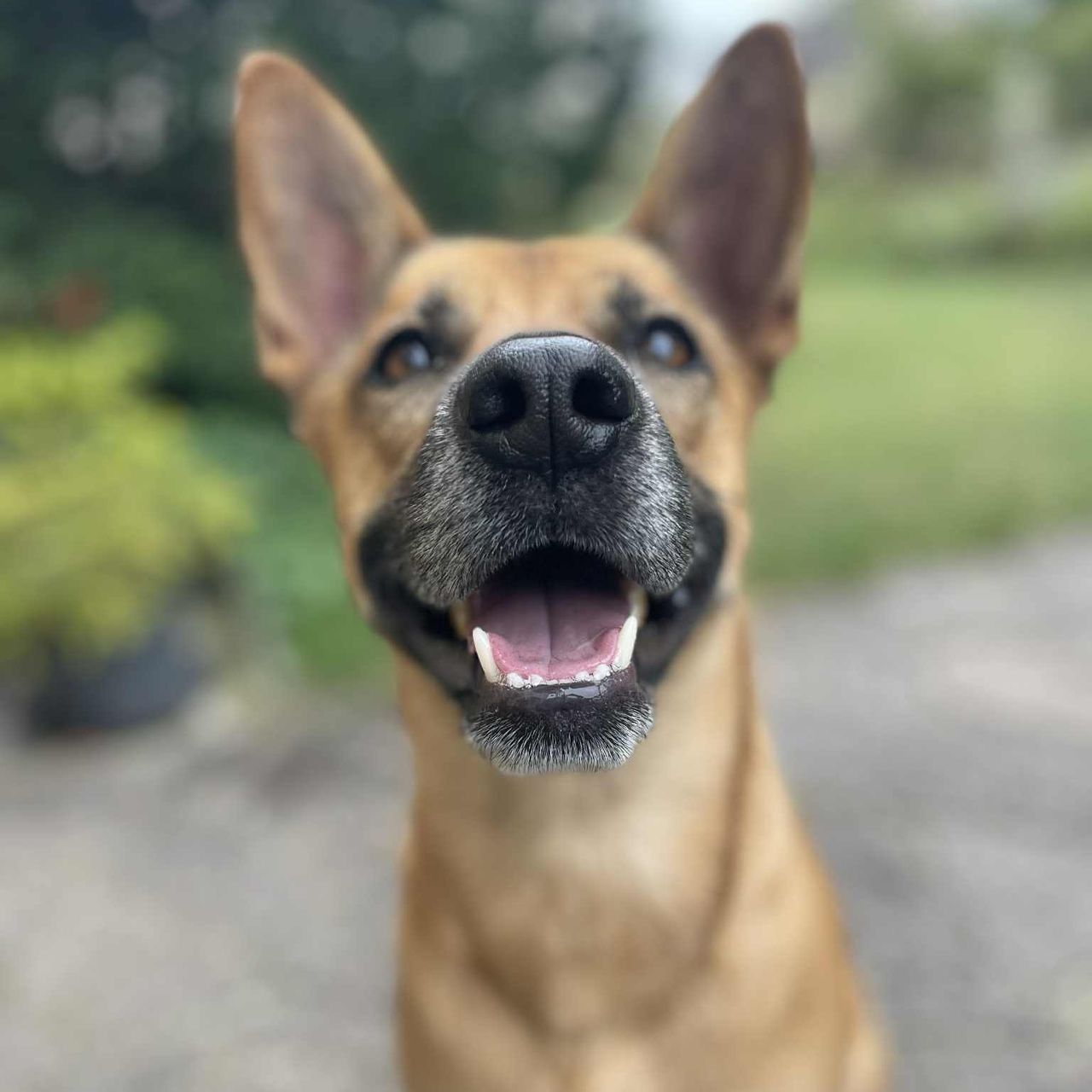 Soutěžní fotografie - Charlie,  Ostatní