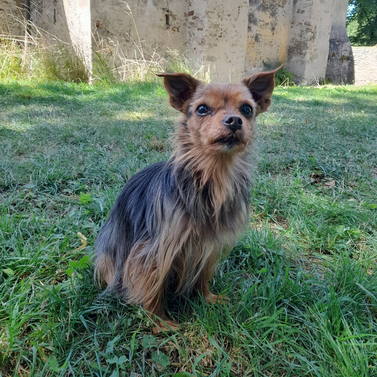 Soutěžní fotografie - Nelly,  Ostatní