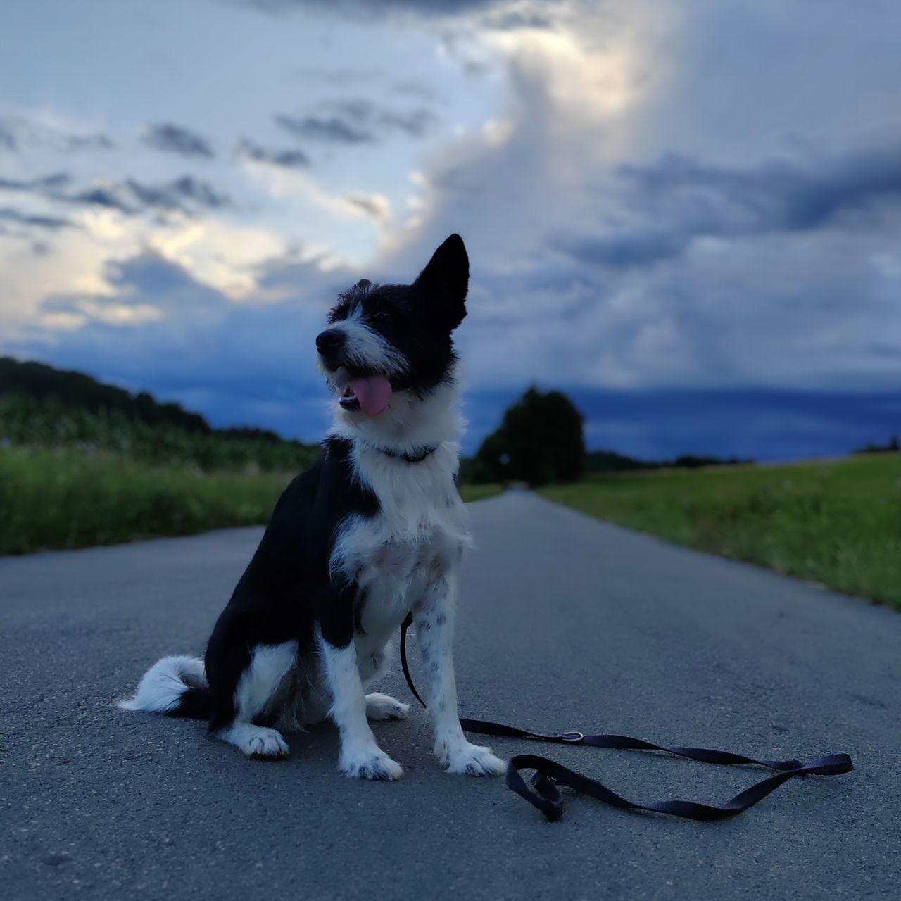 Soutěžní fotografie - Terezka,  Ostatní