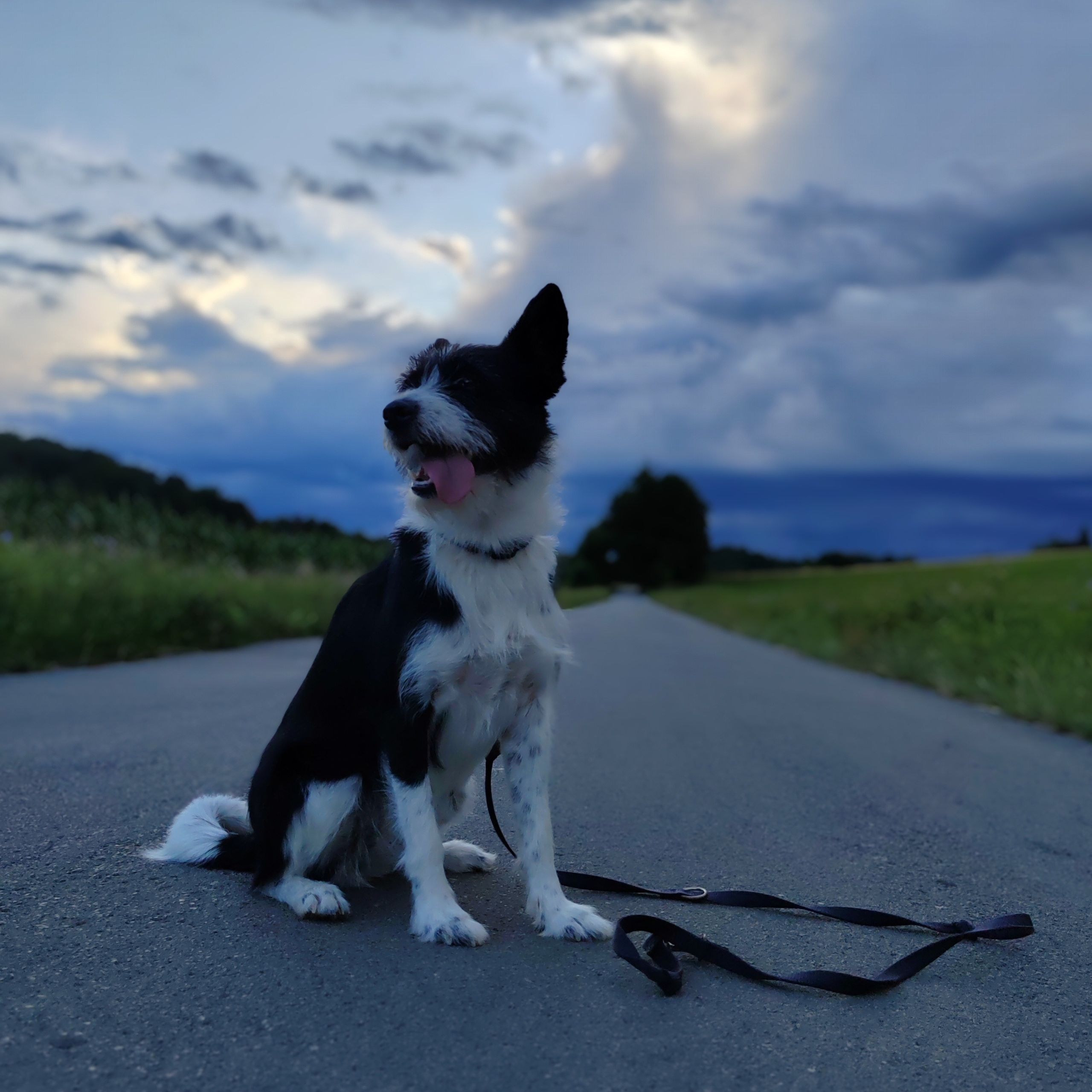 Soutěžní fotografie - Terezka,  Ostatní