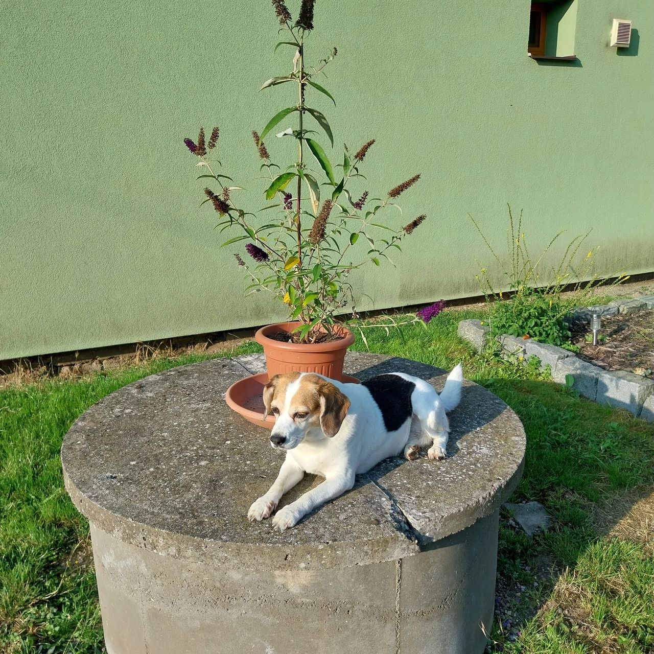 Soutěžní fotografie - Sally,  Ostatní