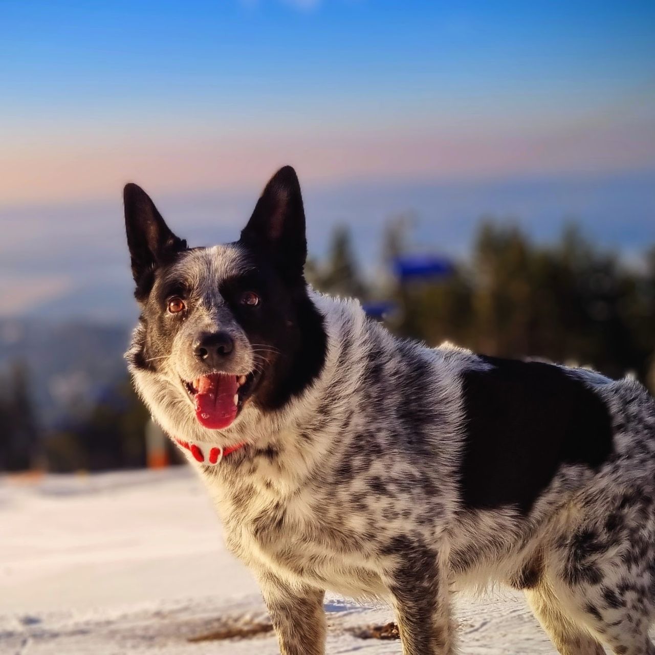 Soutěžní fotografie - Pupí,  Ostatní