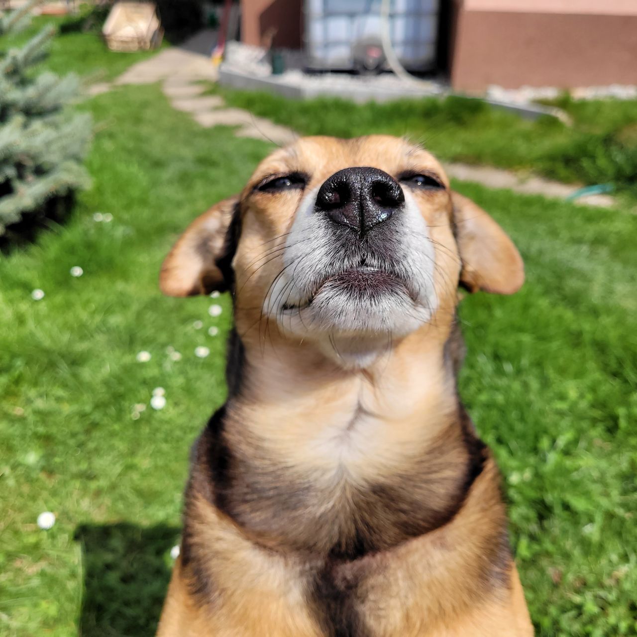 Soutěžní fotografie - Chase,  Ostatní