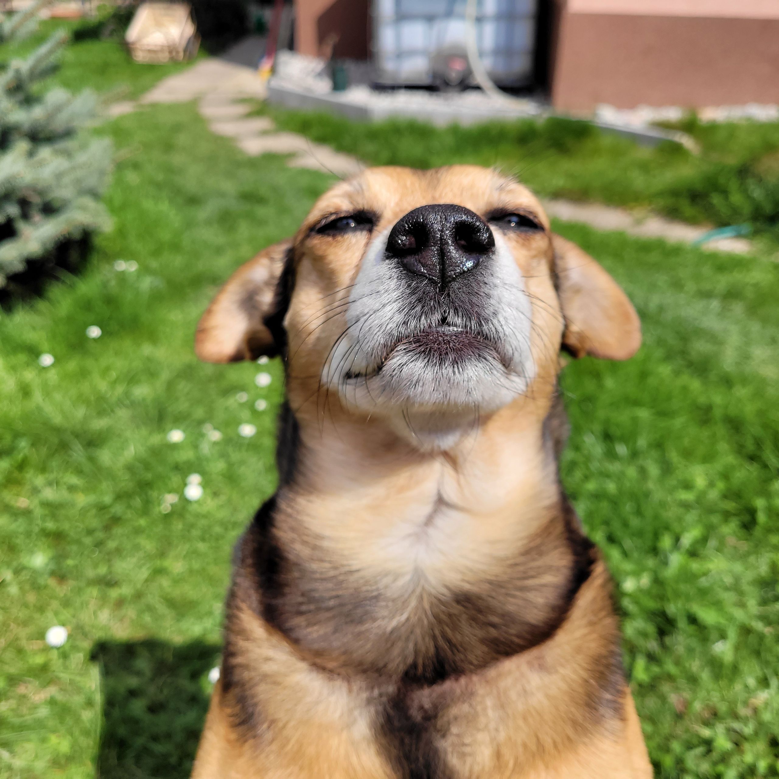 Soutěžní fotografie - Chase,  Ostatní