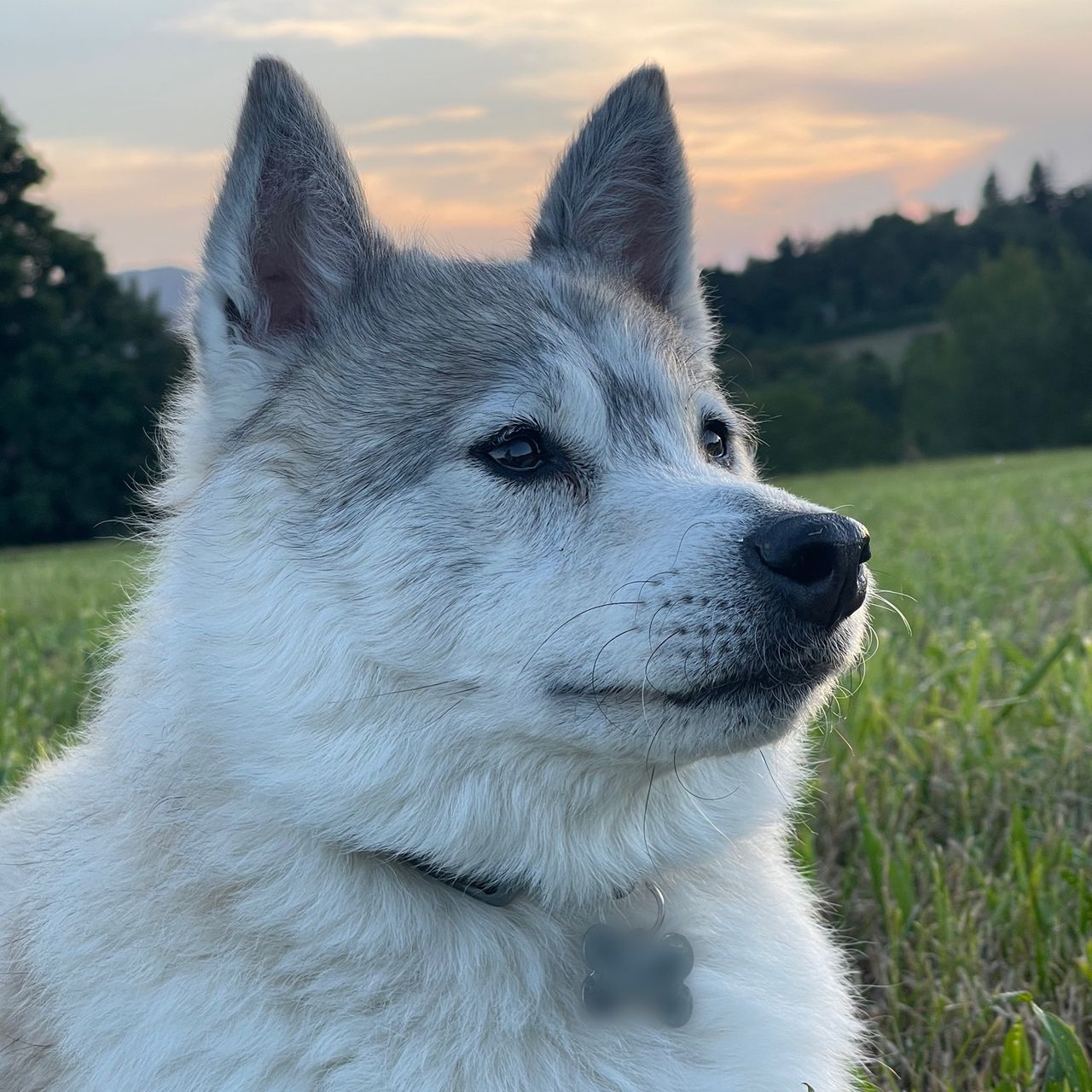 Soutěžní fotografie - Maxík,  Ostatní