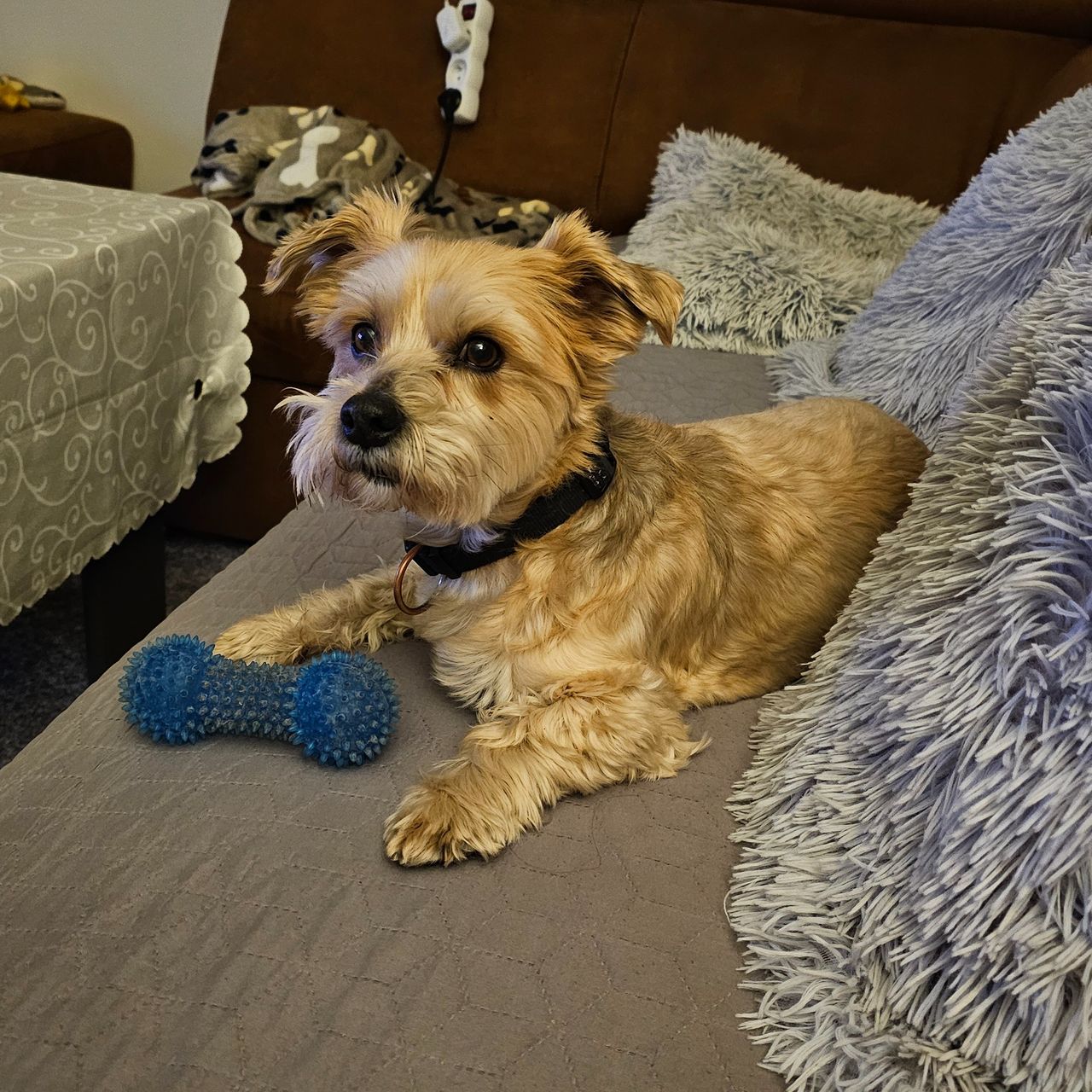 Soutěžní fotografie - HUGO,  Ostatní