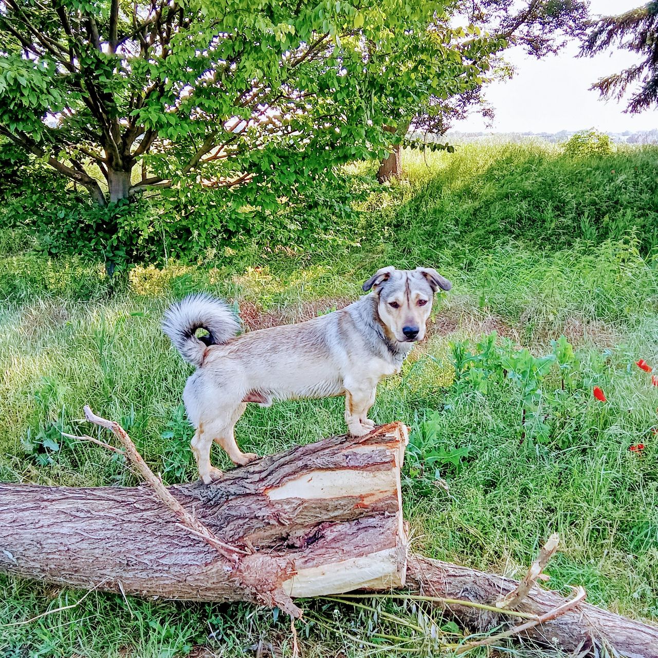 Soutěžní fotografie - MORISEK,  Ostatní