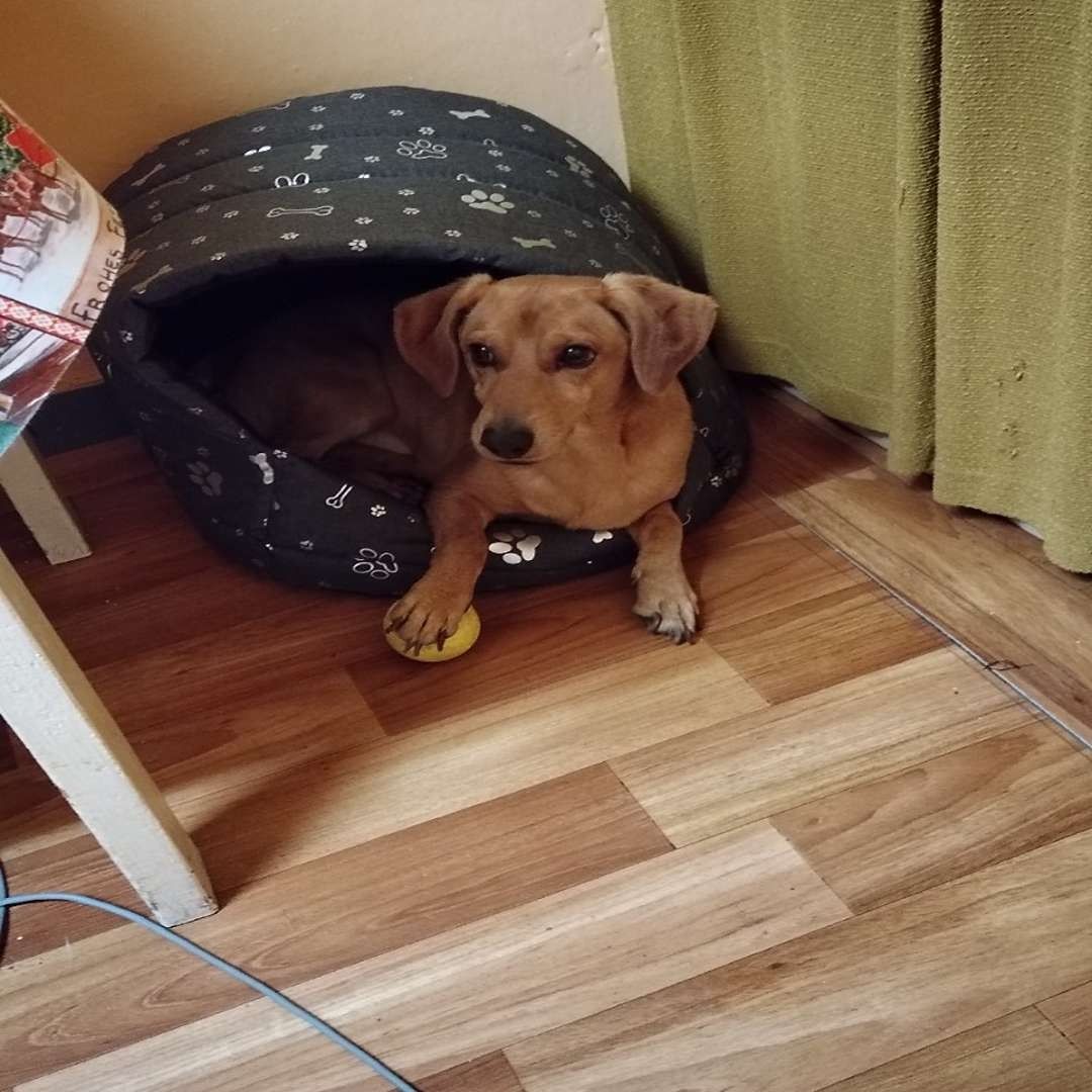 Soutěžní fotografie - Punťa,  Ostatní