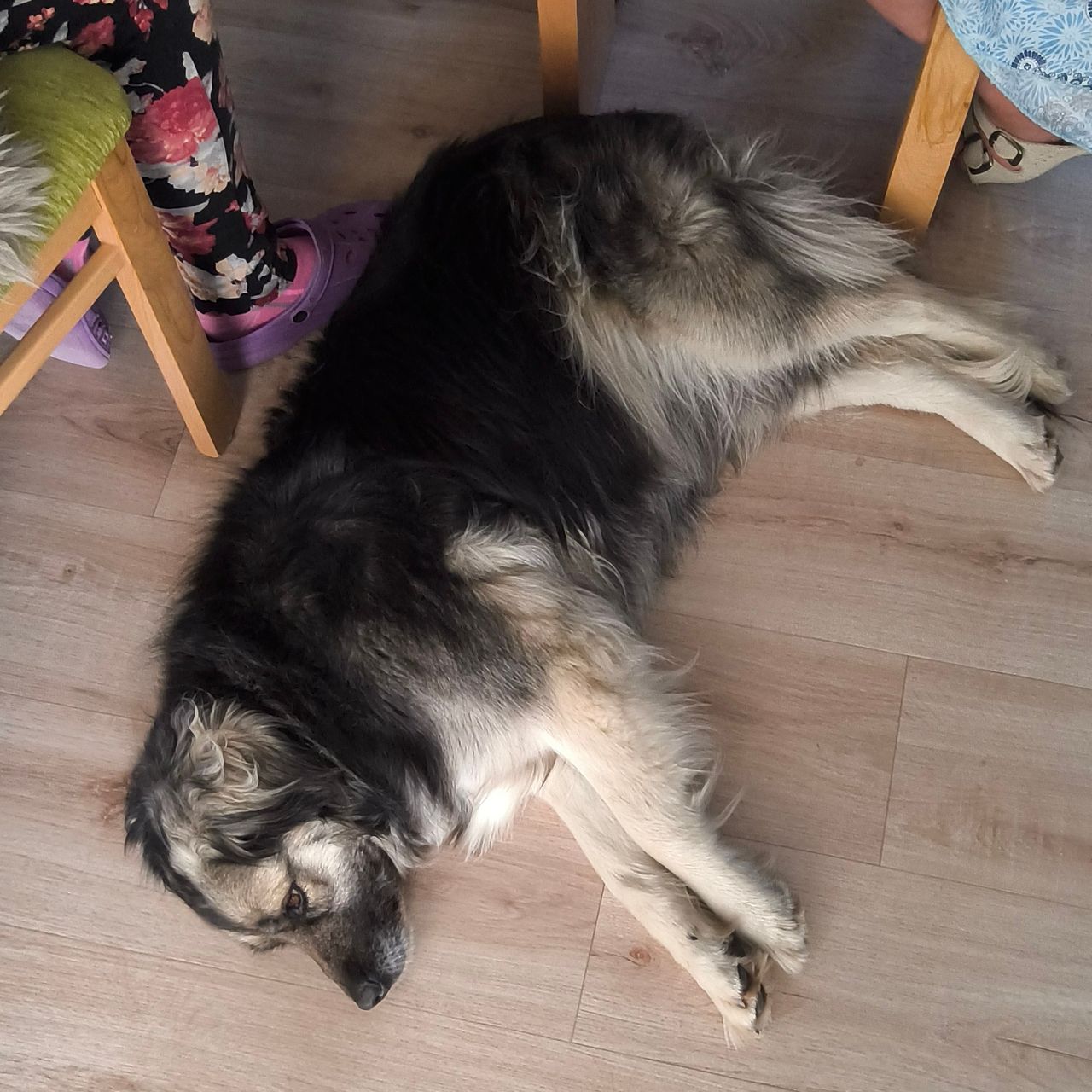 Soutěžní fotografie - Roxy,  Ostatní