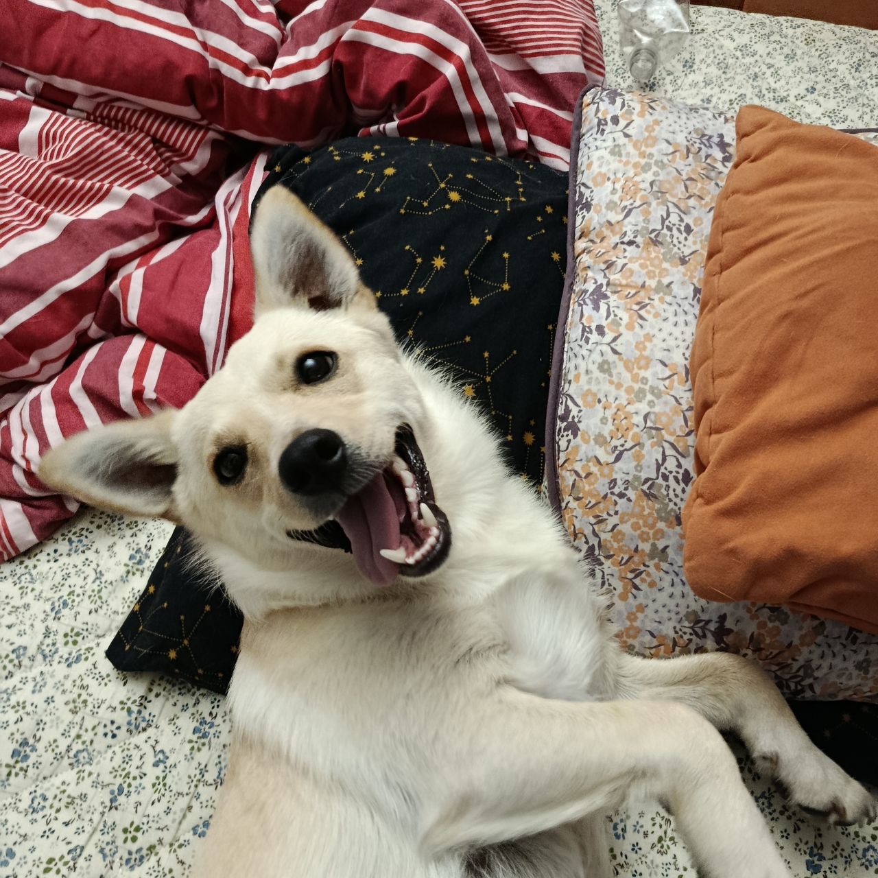 Soutěžní fotografie - Doby,  Ostatní