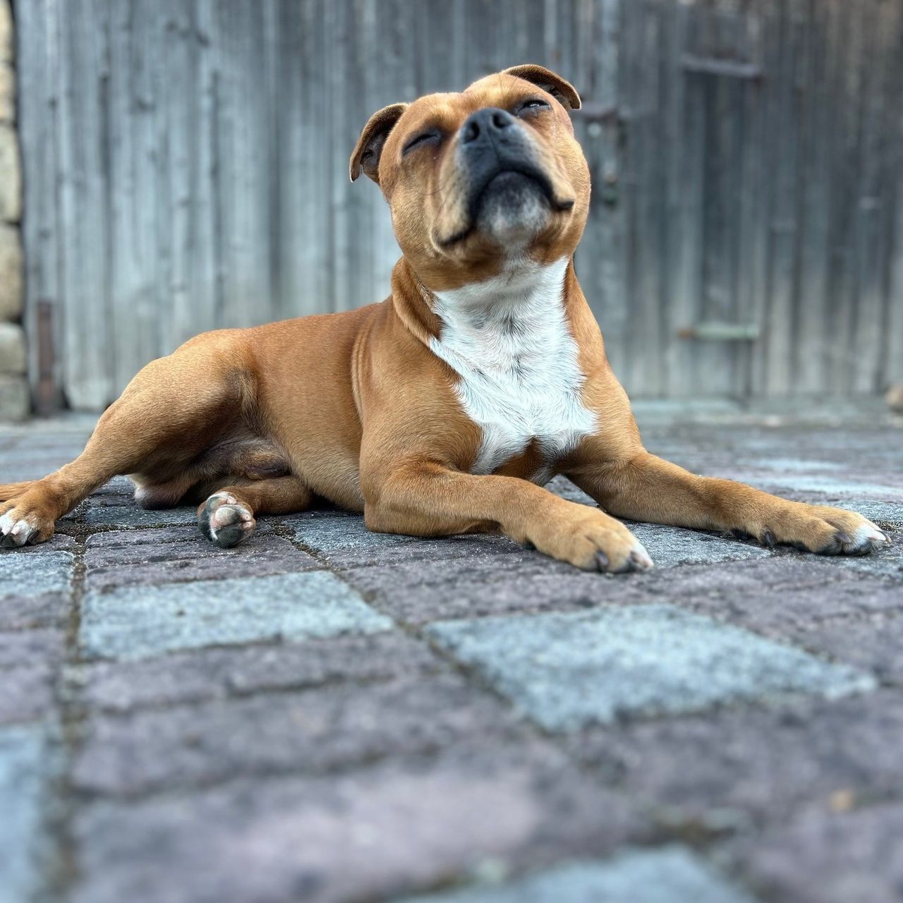Soutěžní fotografie - Neo,  Ostatní