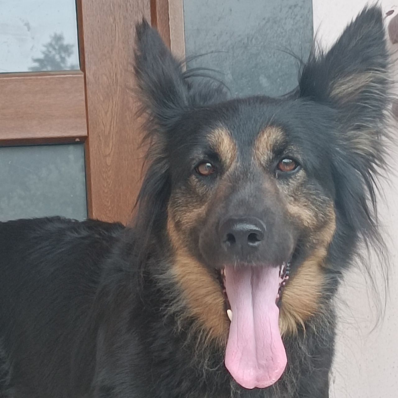 Soutěžní fotografie - Maya,  Ostatní