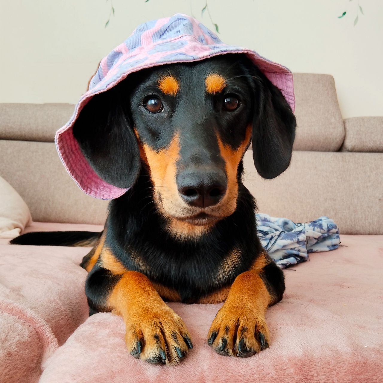 Soutěžní fotografie - Máša,  Ostatní