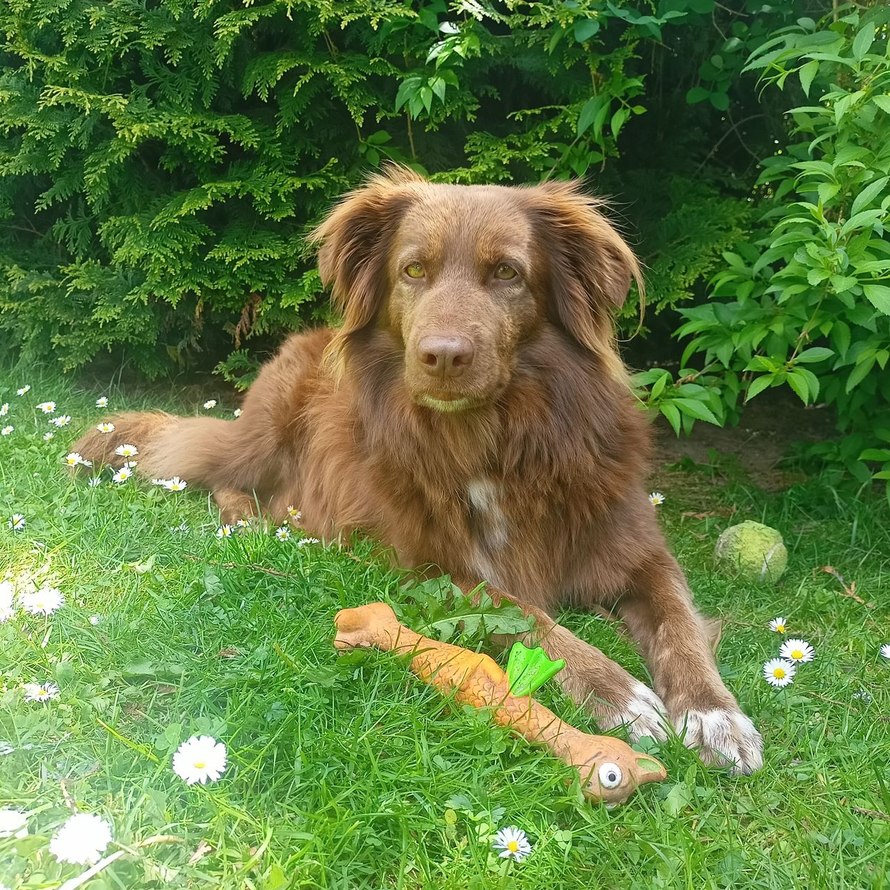 Soutěžní fotografie - Viki,  Ostatní