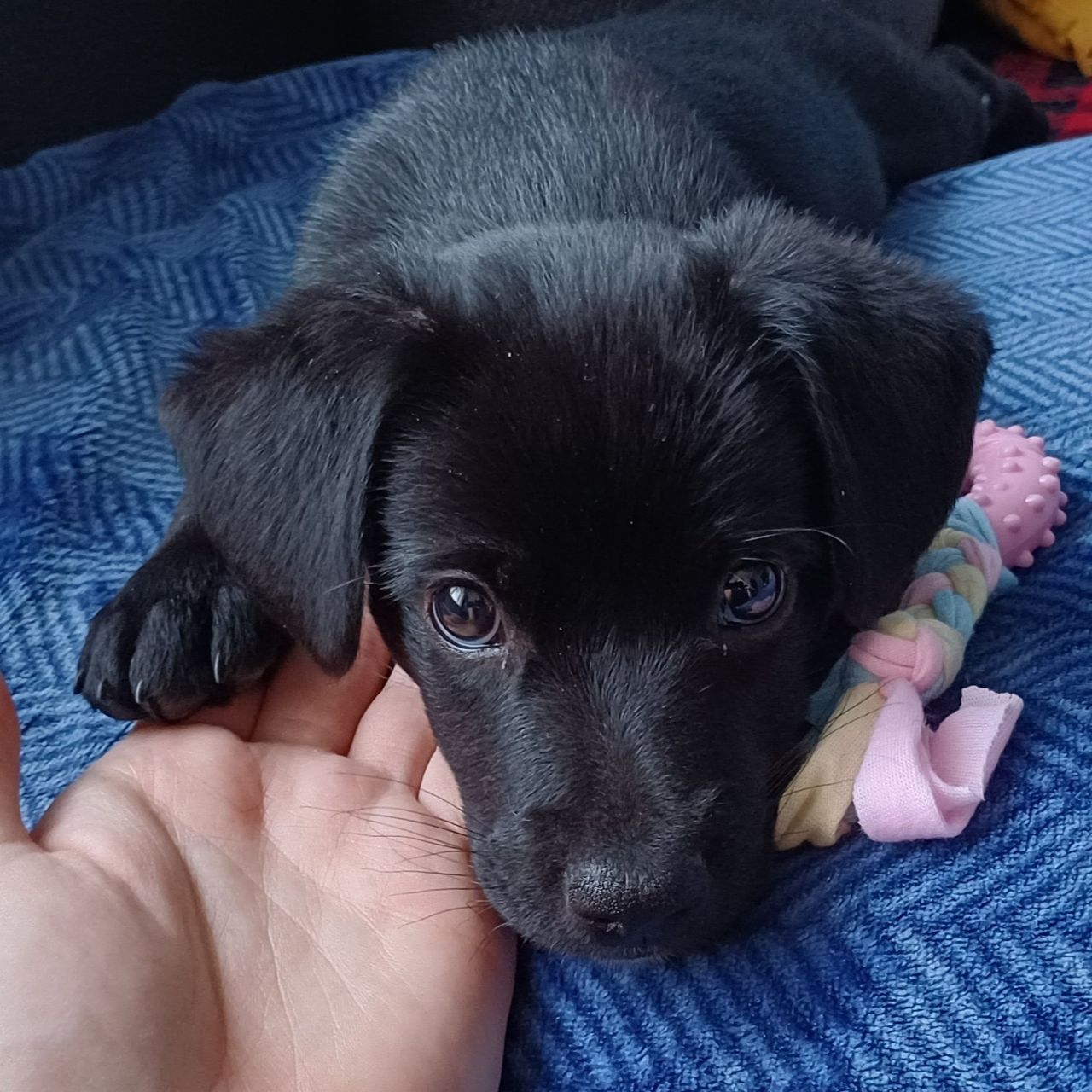Soutěžní fotografie - Nayla,  Ostatní