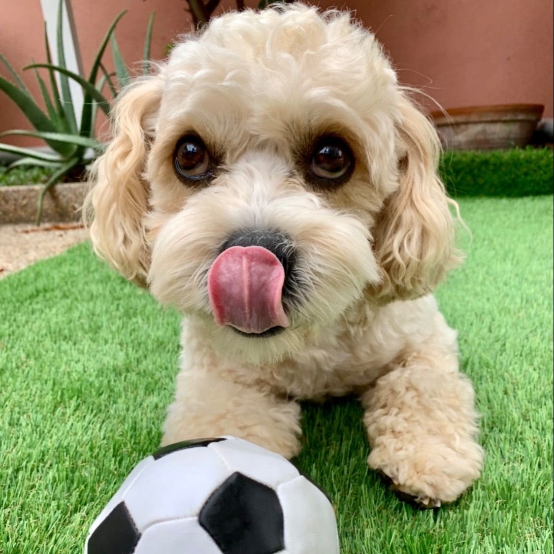 Soutěžní fotografie - Rusty,  Ostatní