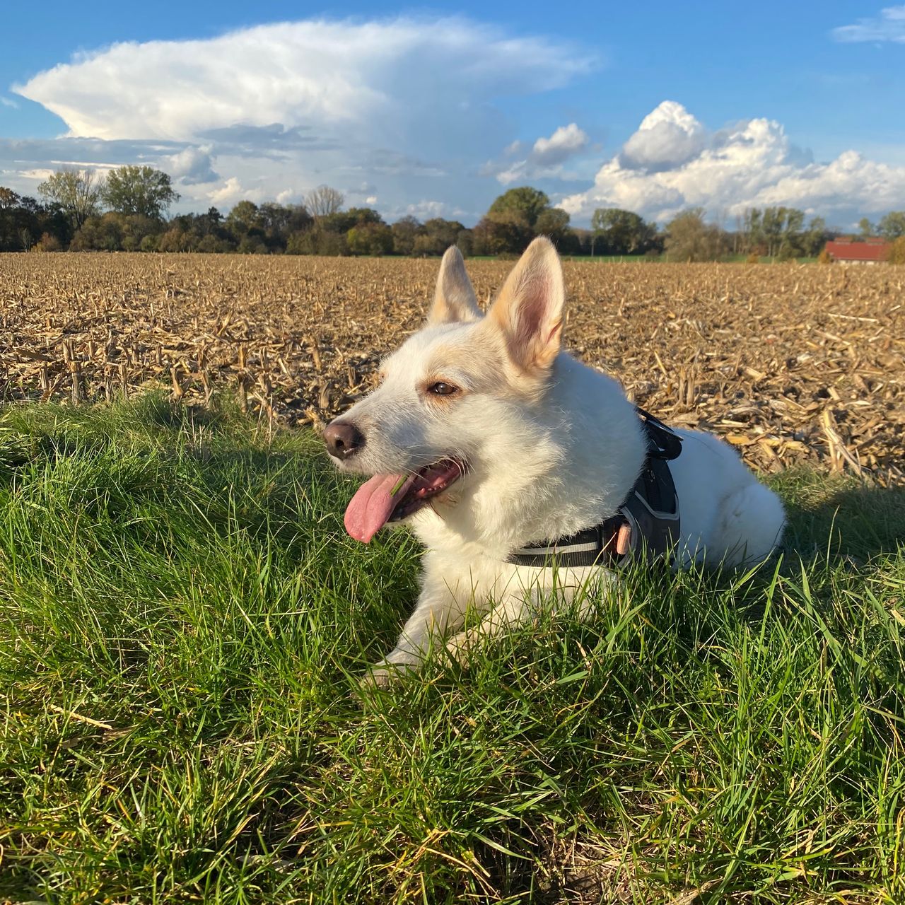 Soutěžní fotografie - Johnny,  Ostatní