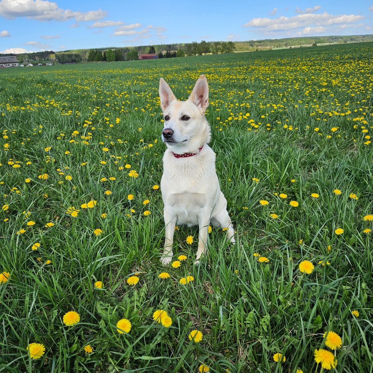 Soutěžní fotografie - Klouí,  Ostatní
