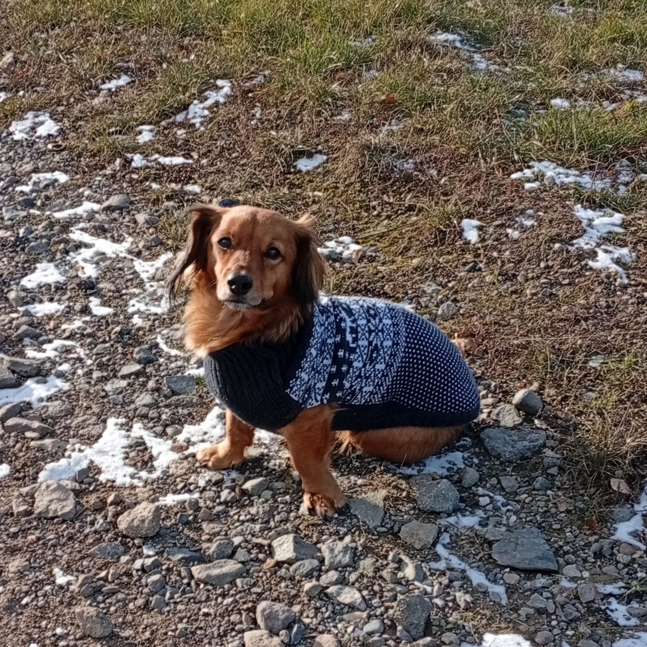 Soutěžní fotografie - Žížala,  Ostatní