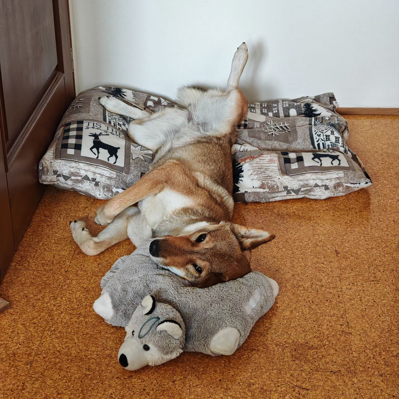 Soutěžní fotografie - Eli,  Shikoku