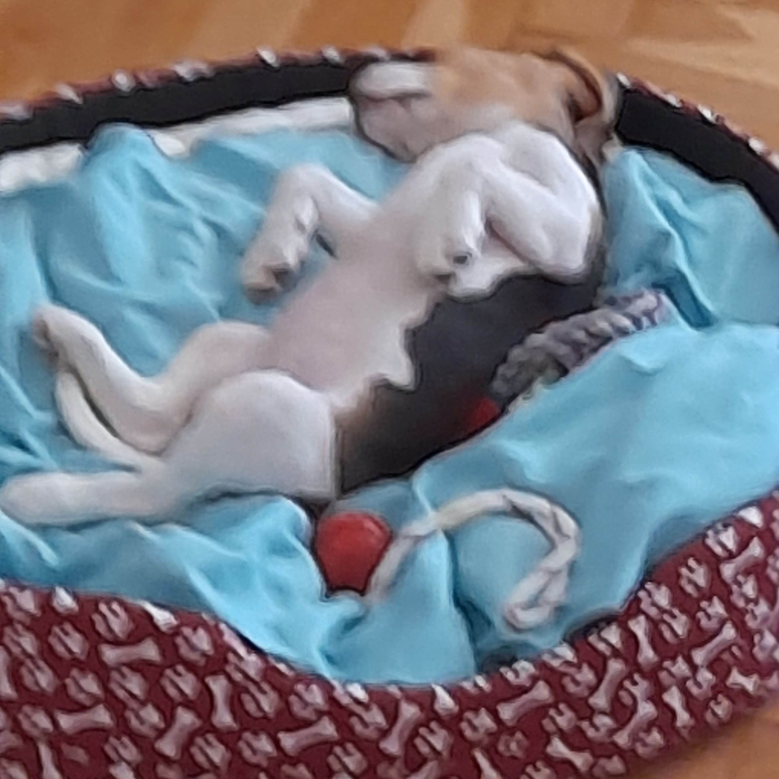 Soutěžní fotografie - Bella,  Beagle
