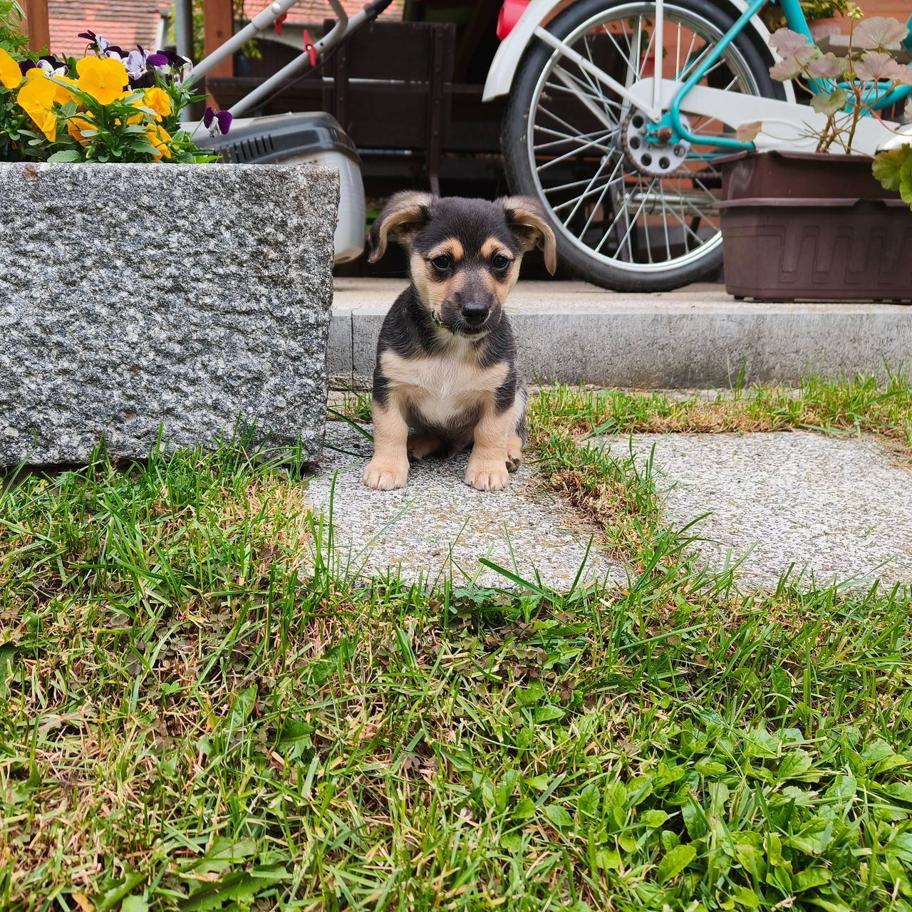 Soutěžní fotografie - Beník,  Ostatní