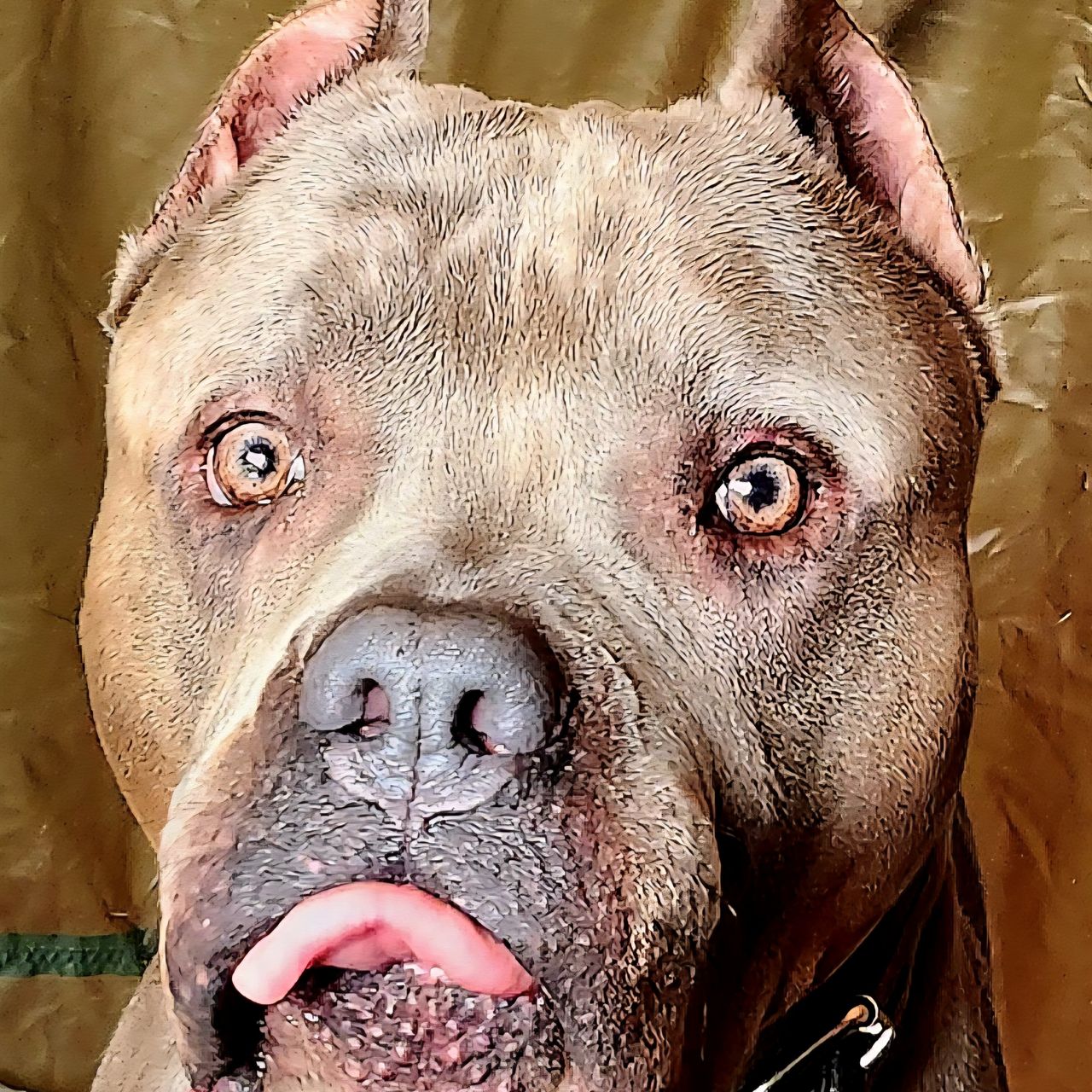 Soutěžní fotografie - Drogo,  Ostatní