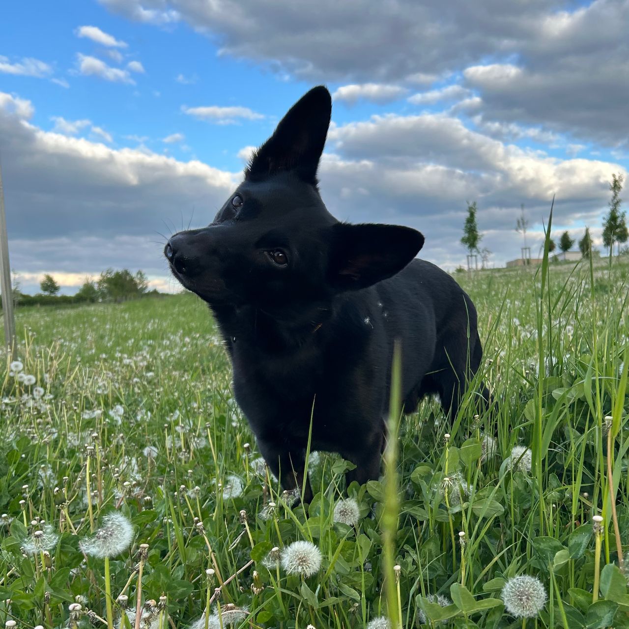 Soutěžní fotografie - Bín,  Ostatní
