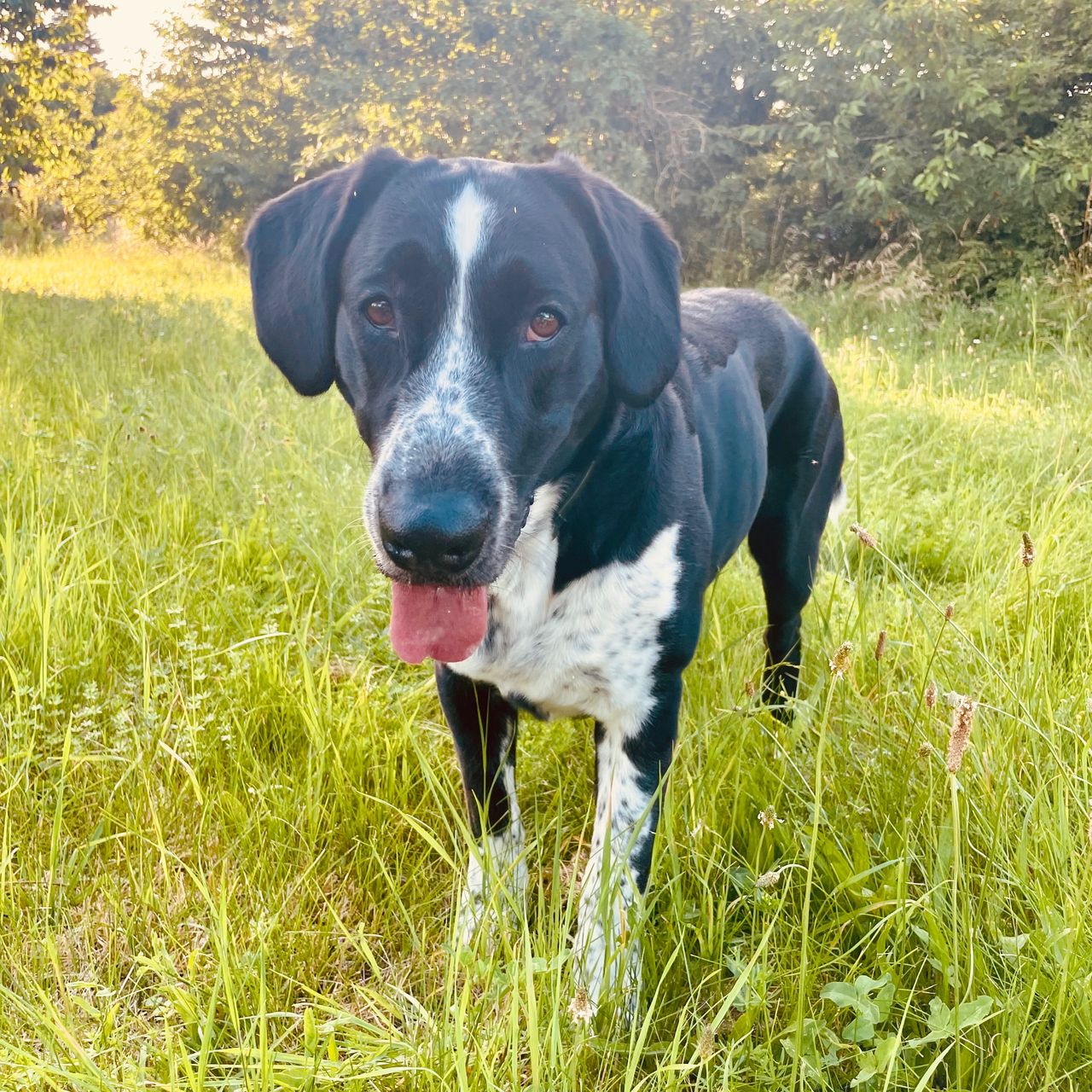 Soutěžní fotografie - Maximus Decimus Meridius,  Ostatní