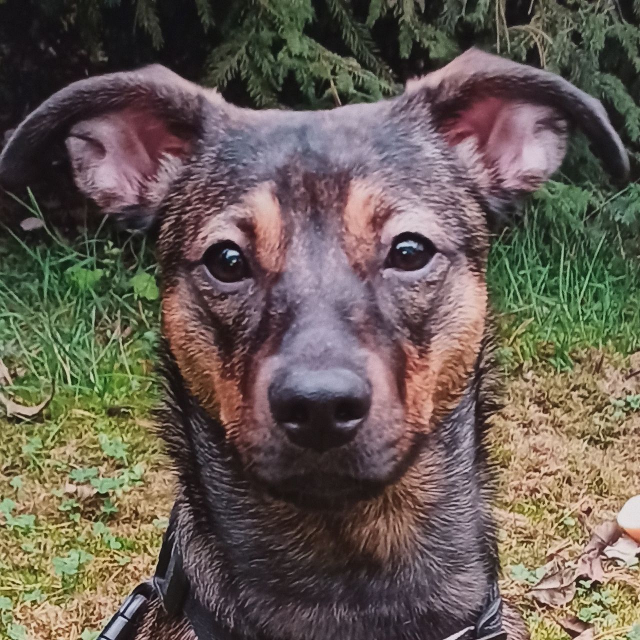 Soutěžní fotografie - Bianka,  Ostatní