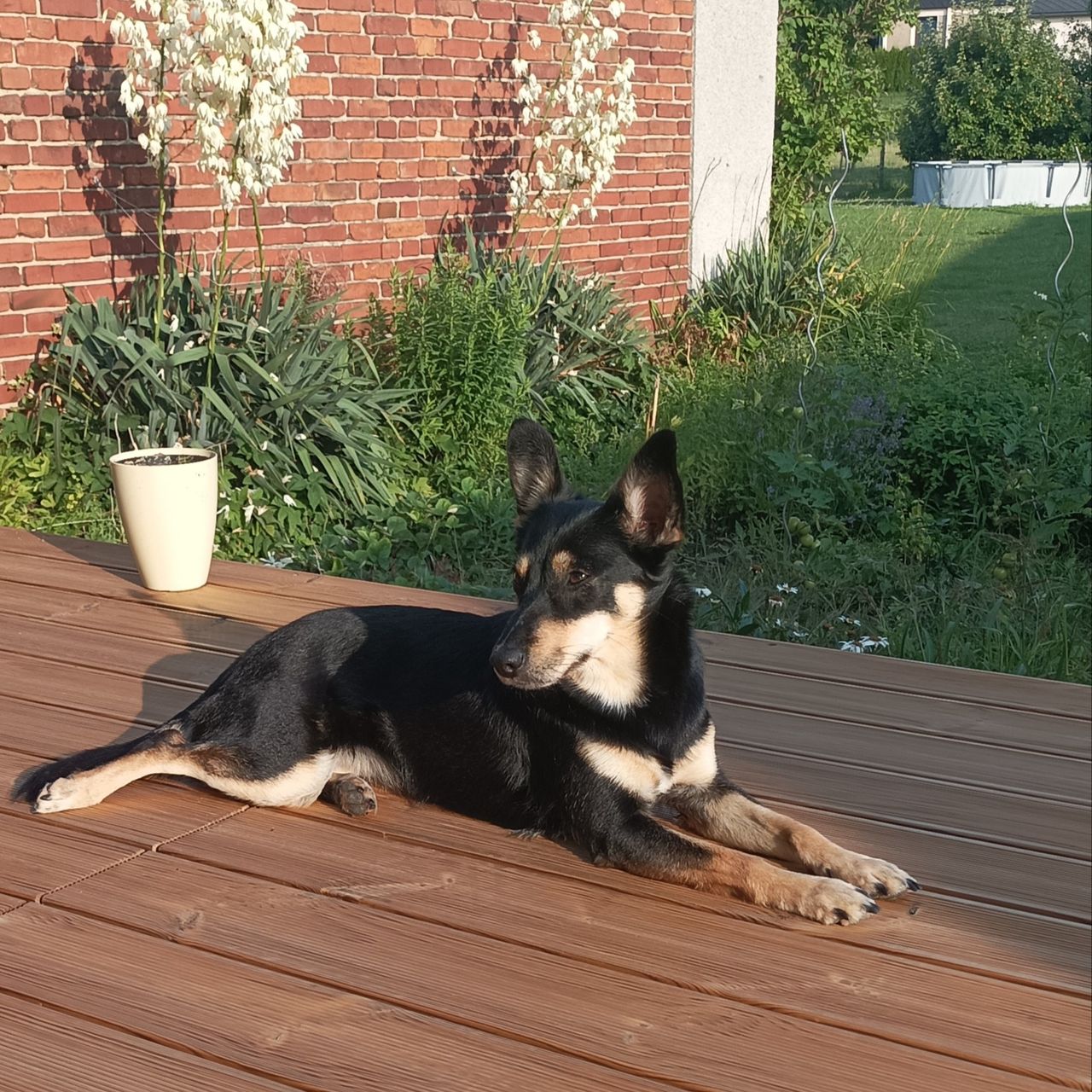 Soutěžní fotografie - Bella,  Ostatní